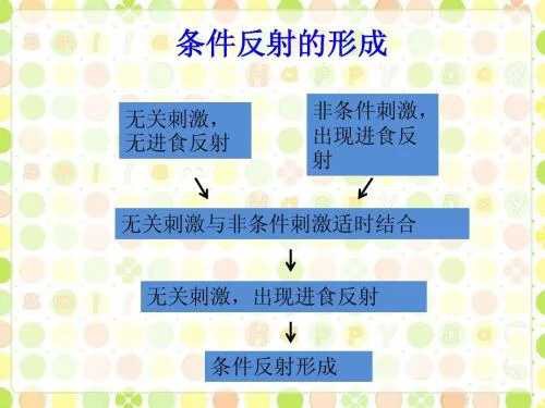 经典条件反射和操作性条件反射的定义分别是什么？