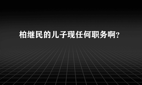 柏继民的儿子现任何职务啊？