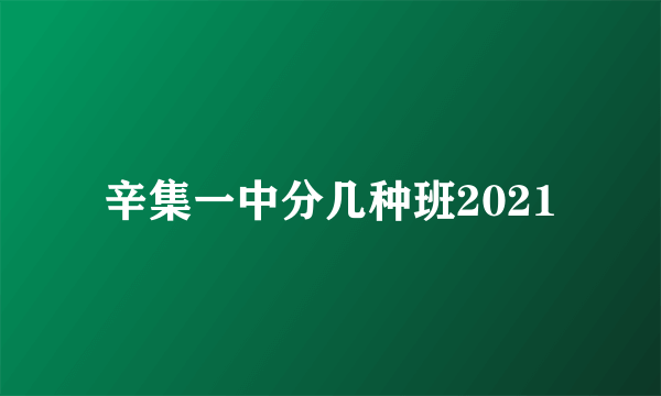 辛集一中分几种班2021