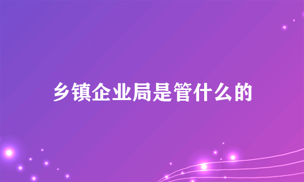 乡镇企业局是管什么的