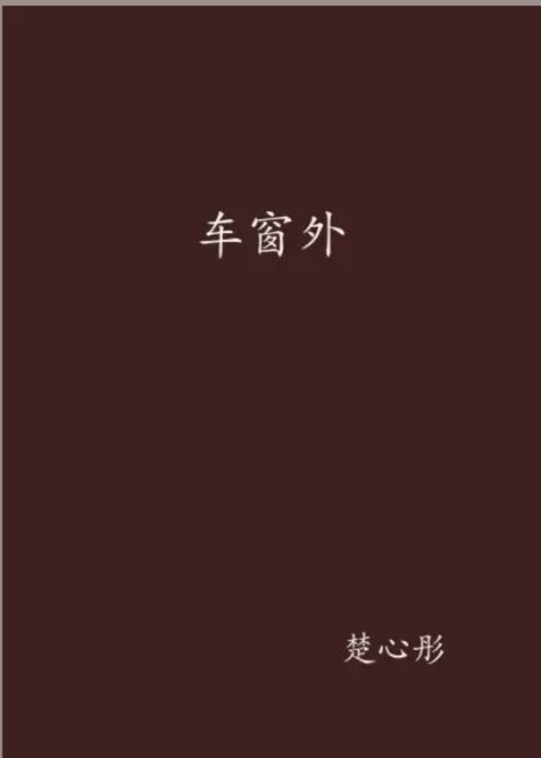 文学赏析《车窗外》主要内容讲 的是什么？