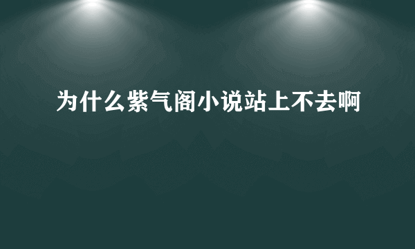 为什么紫气阁小说站上不去啊