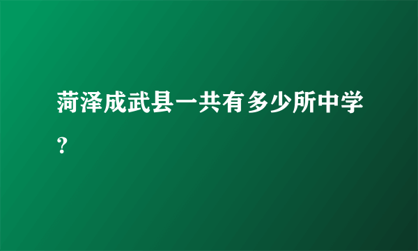 菏泽成武县一共有多少所中学？