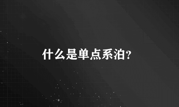 什么是单点系泊？