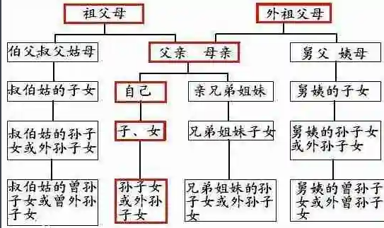 同胞兄弟姐妹是什么意思？