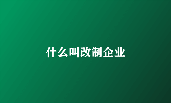 什么叫改制企业