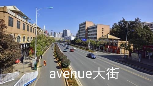 avenue是什么意思