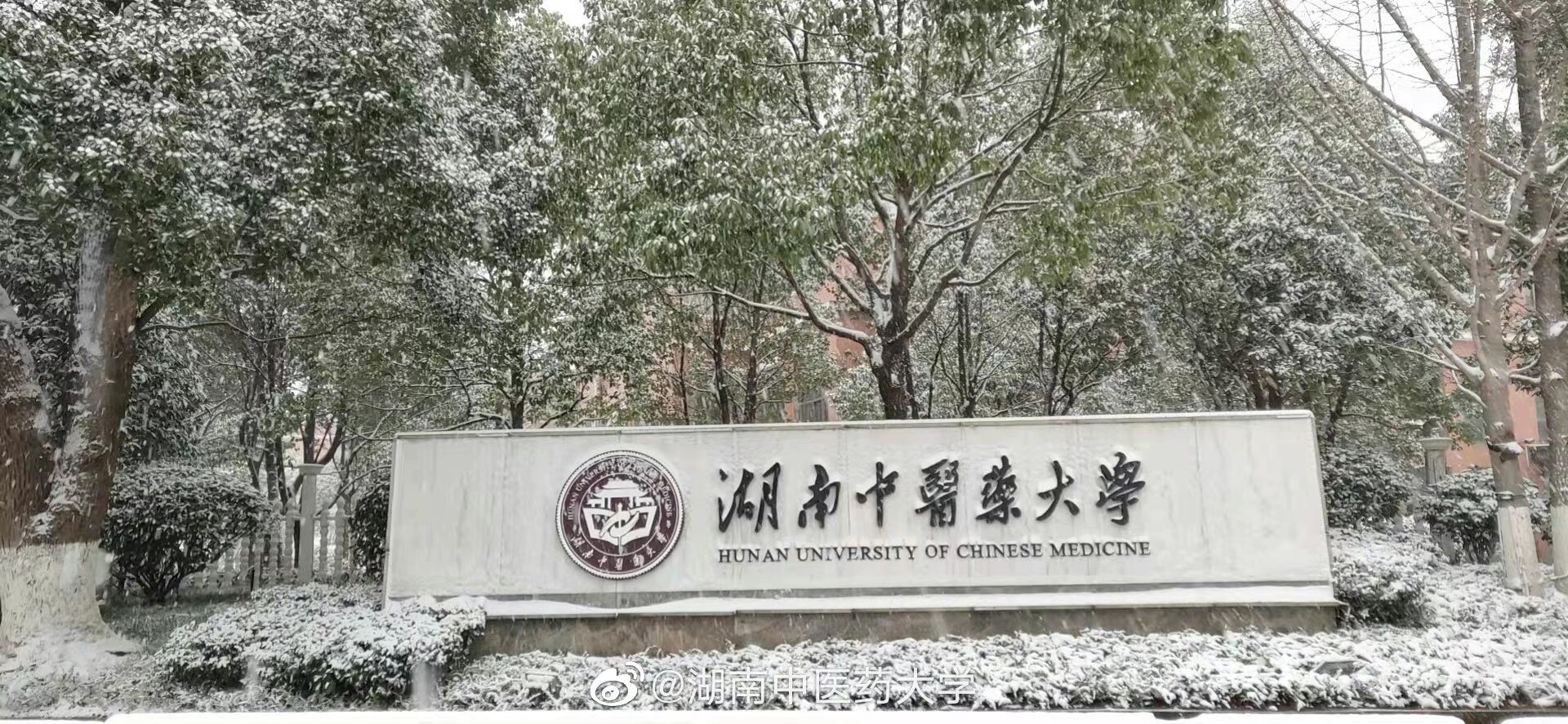 湖南中医药大学口碑