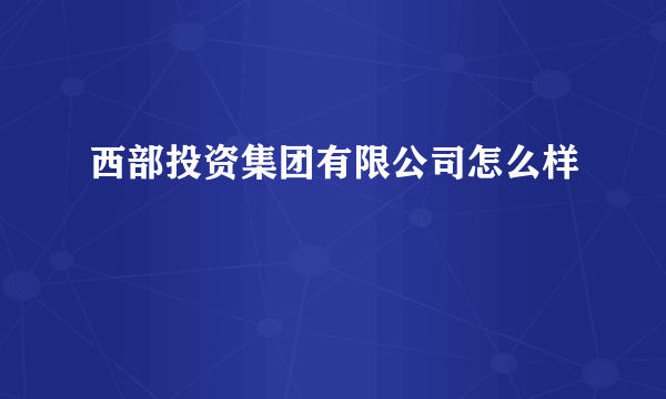 西部投资集团有限公司怎么样