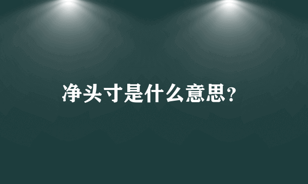 净头寸是什么意思？