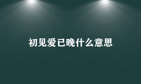 初见爱已晚什么意思