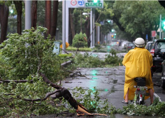 台风白色预警等级是高还是低