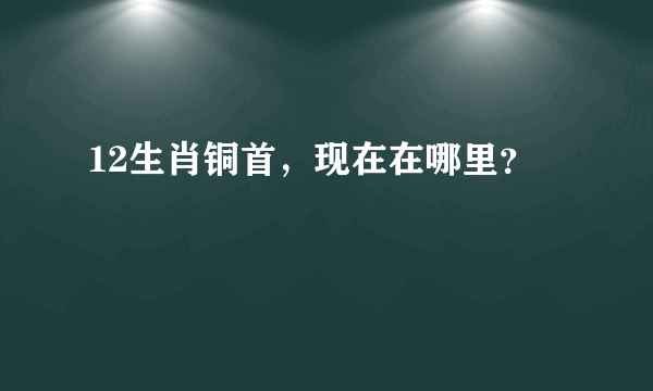 12生肖铜首，现在在哪里？