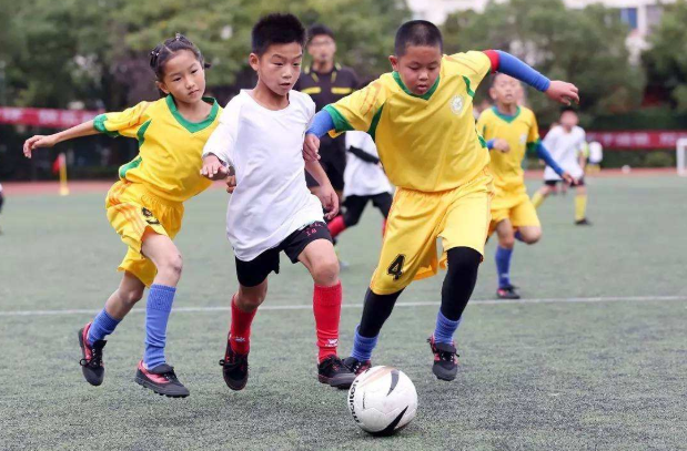 小学生素质报告册家长评语怎么写