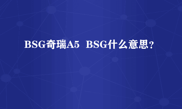 BSG奇瑞A5  BSG什么意思？