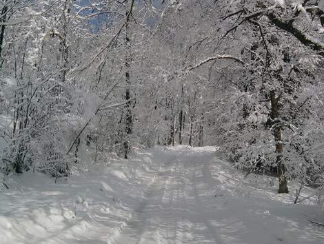 东北雪大到模糊，当地的情况怎么样？