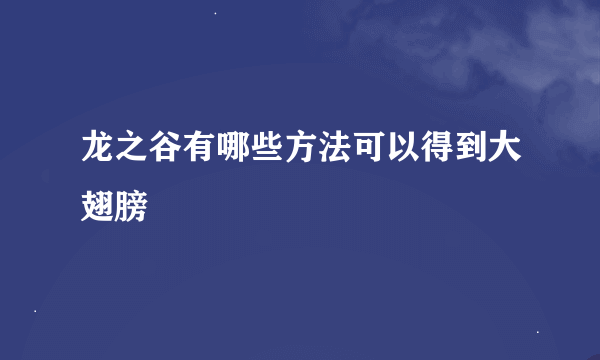 龙之谷有哪些方法可以得到大翅膀