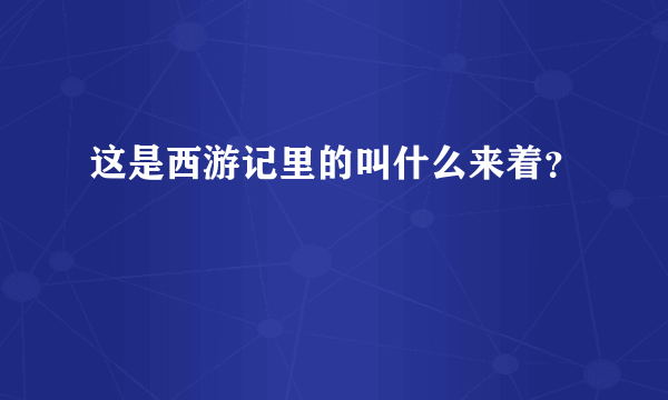 这是西游记里的叫什么来着？