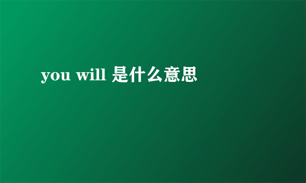 you will 是什么意思