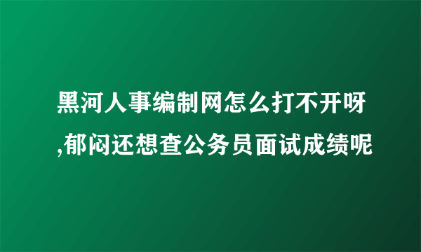 黑河人事编制网怎么打不开呀,郁闷还想查公务员面试成绩呢