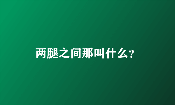 两腿之间那叫什么？