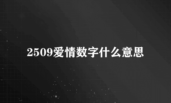 2509爱情数字什么意思