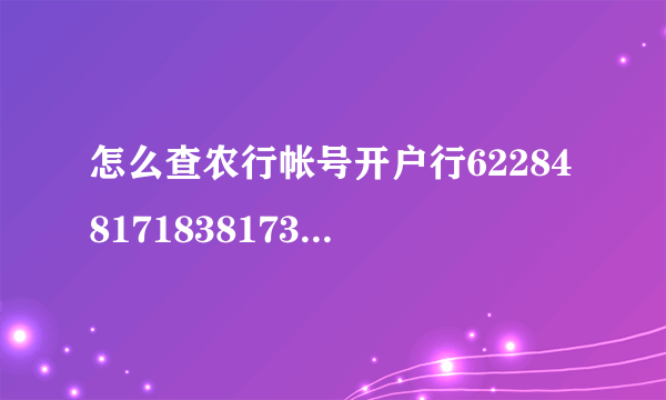 怎么查农行帐号开户行6228481718381736871？