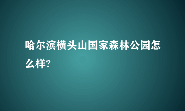 哈尔滨横头山国家森林公园怎么样?