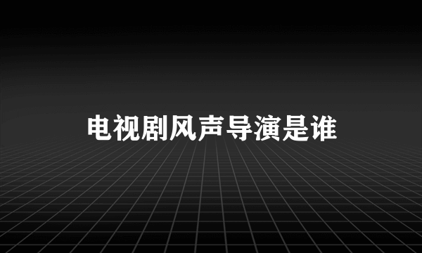 电视剧风声导演是谁