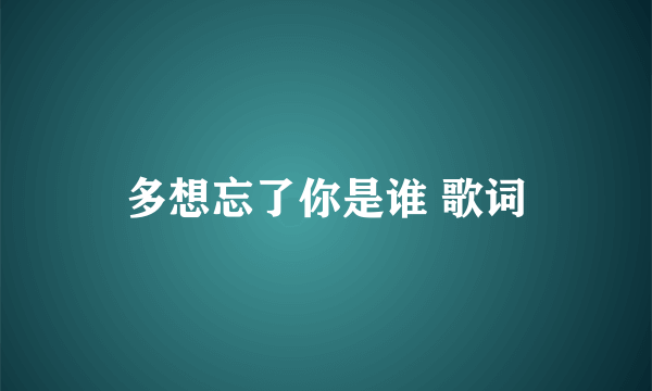 多想忘了你是谁 歌词