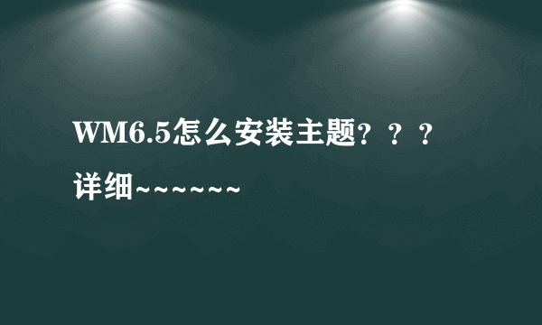 WM6.5怎么安装主题？？？详细~~~~~~