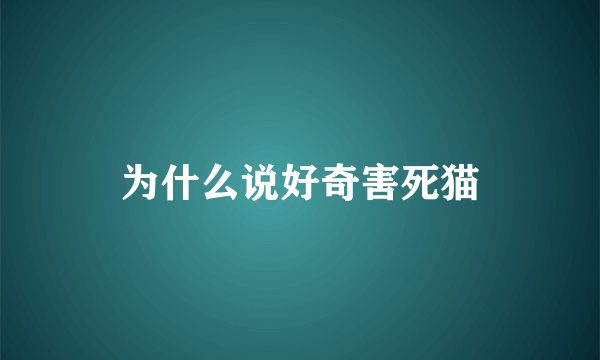 为什么说好奇害死猫