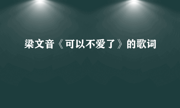 梁文音《可以不爱了》的歌词