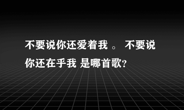 不要说你还爱着我 。 不要说你还在乎我 是哪首歌？