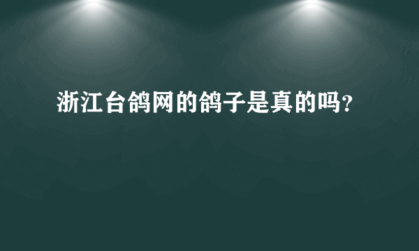 浙江台鸽网的鸽子是真的吗？