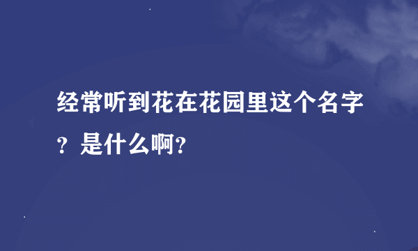 经常听到花在花园里这个名字？是什么啊？