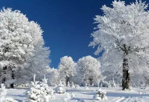 全国初雪地图登场，哪些地区会迎来今冬初雪？