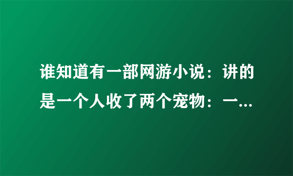 谁知道有一部网游小说：讲的是一个人收了两个宠物：一个是冰雪女神，另一个好像也是一个女神，