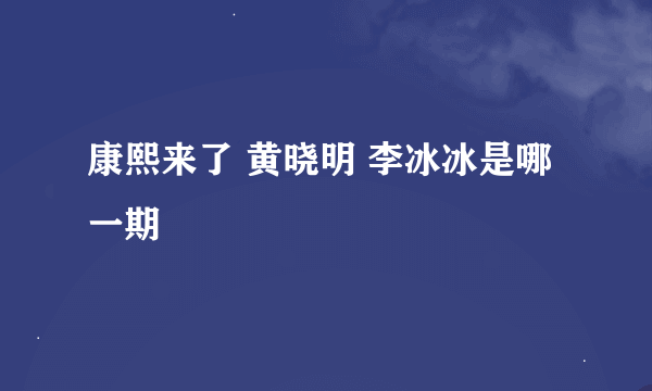 康熙来了 黄晓明 李冰冰是哪一期