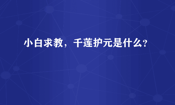 小白求教，千莲护元是什么？