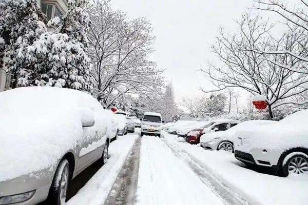 南方迎来暴雪，这场暴雪给各地造成了哪些影响？