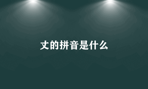 丈的拼音是什么