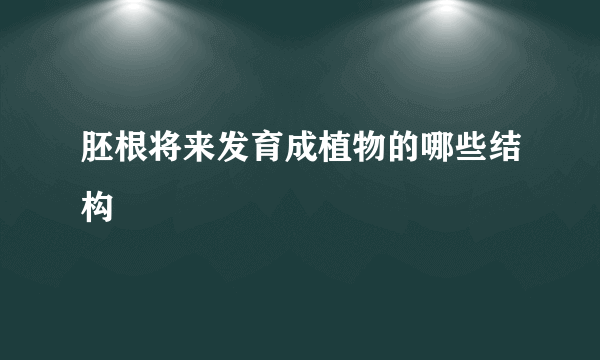 胚根将来发育成植物的哪些结构