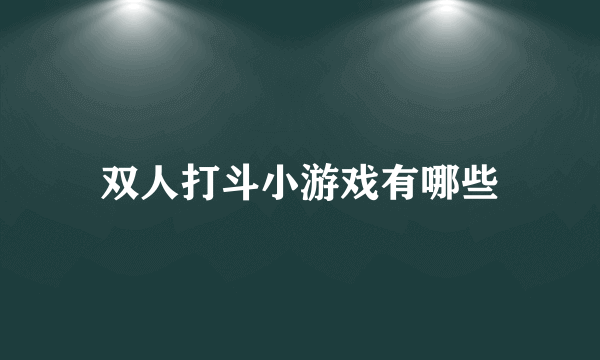 双人打斗小游戏有哪些