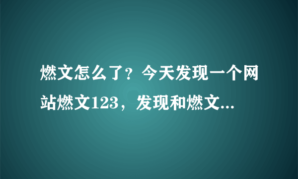 燃文怎么了？今天发现一个网站燃文123，发现和燃文页面一样，两个网站是一个么？