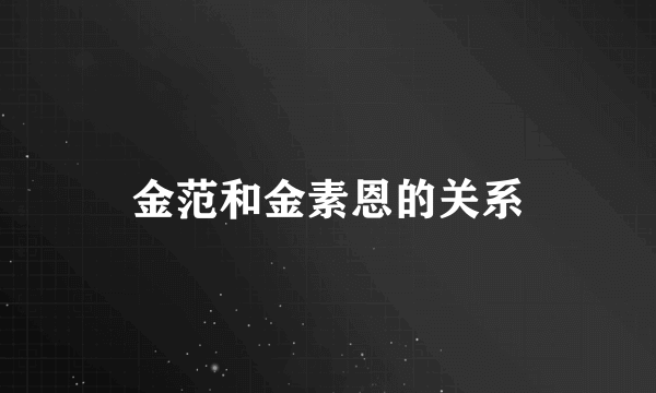 金范和金素恩的关系