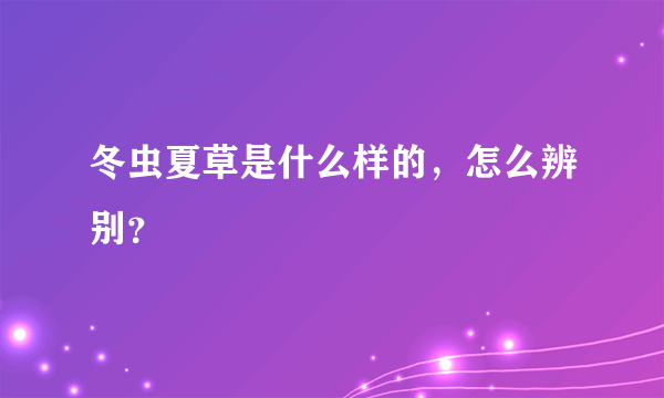 冬虫夏草是什么样的，怎么辨别？