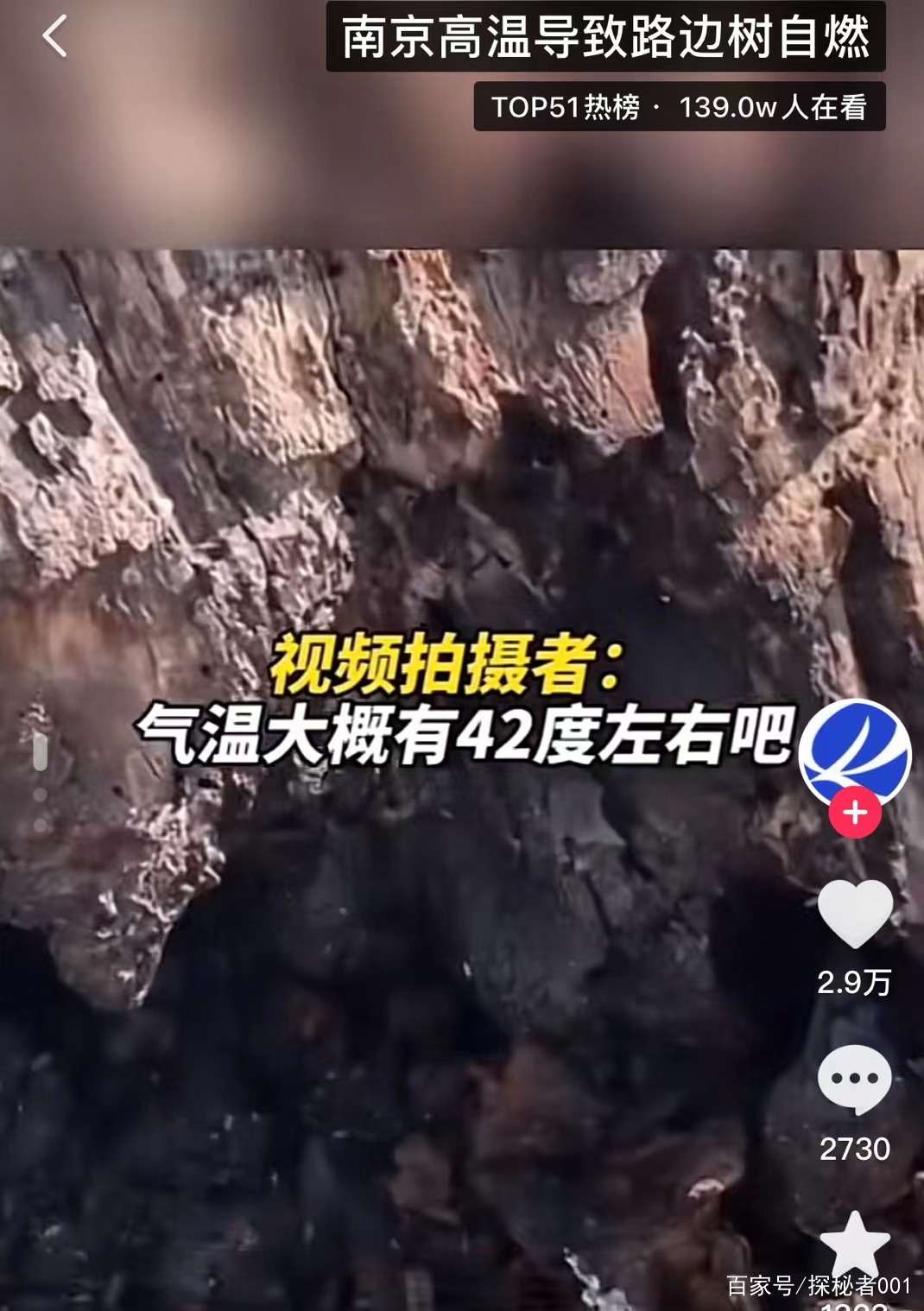 河南地表最高温74℃，南京树木自燃烧断根，为何如此反常？