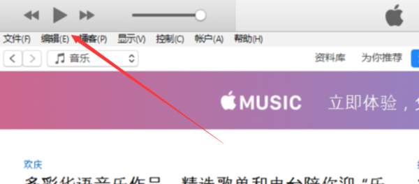 苹果iTunes怎么用