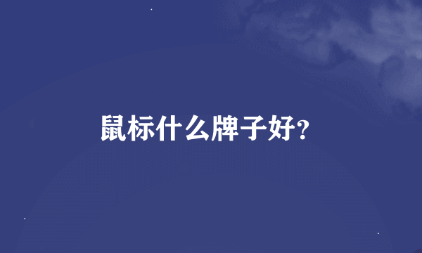 鼠标什么牌子好？